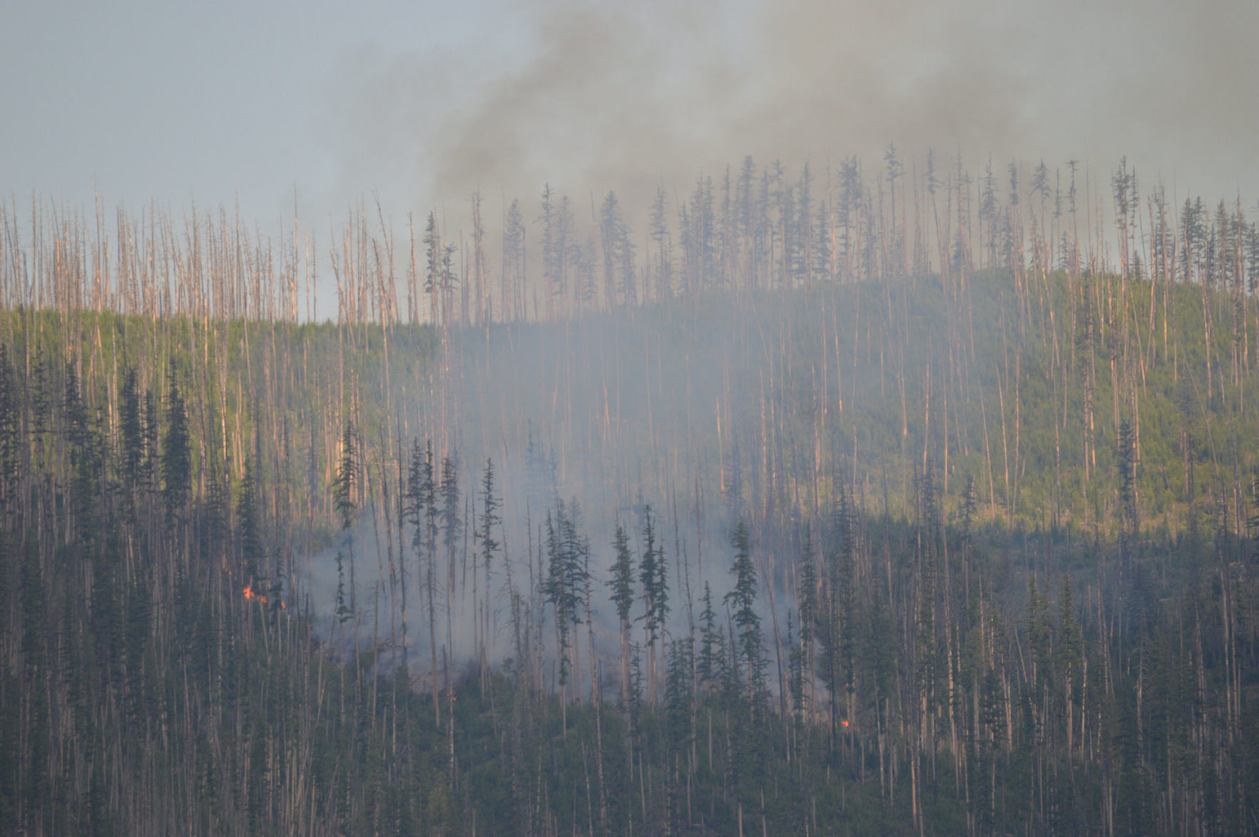 Howe Ridge fire